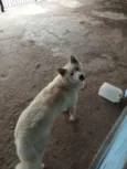 Não sei