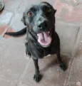 Neguinha