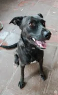 Neguinha