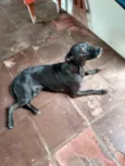 Neguinha