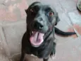 Neguinha