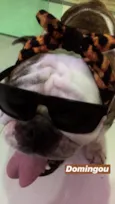 Fiona