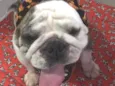 Fiona