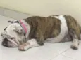 Fiona