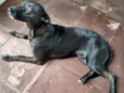 Neguinha