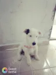 Clarita
