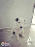 Clarita