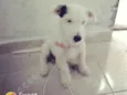 Clarita