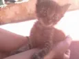Não definido 
