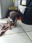Nao tem