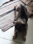 Nao tem
