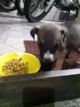 Nao tem