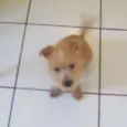 Bobby