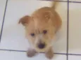 Bobby