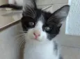 Bolinha lindo bebê