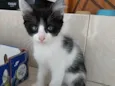 Bolinha lindo bebê