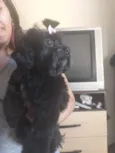 Pandora