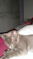 Lua