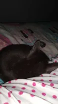 Lua