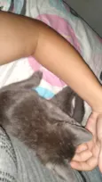 Lua