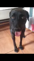 Preta