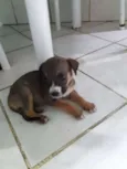 Nao tem