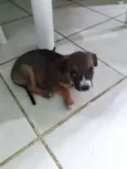 Nao tem