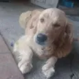 Maggie