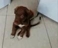 Luna e rathi