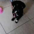 Luna e rathi
