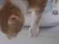 Eric