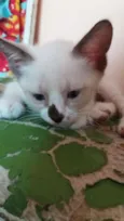 Príncipe e Lili