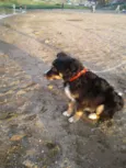 Charlie
