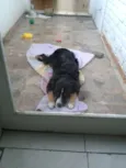 Charlie