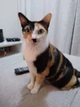 Poli e Diva