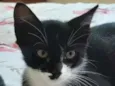 Miçanga
