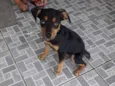 Boby