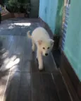 Freud