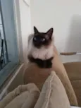 Tom