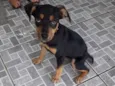 Boby