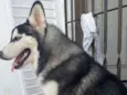 Billy 