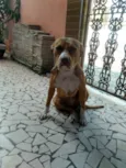 Hera