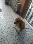 Hera
