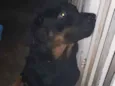 Nome ignorado