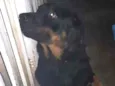 Nome ignorado