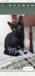 Marilyn
