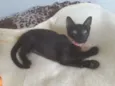 Marilyn