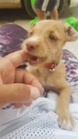 Nina