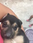 Não tem ainda