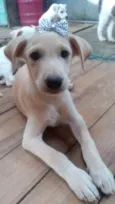 Nina